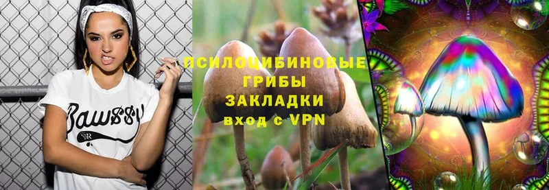 мега ССЫЛКА  Новозыбков  Псилоцибиновые грибы Psilocybe  что такое наркотик 